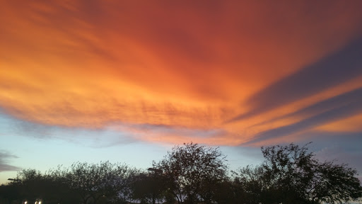 American Restaurant «Uptown Alley Surprise», reviews and photos, 13525 N Litchfield Rd, Surprise, AZ 85379, USA