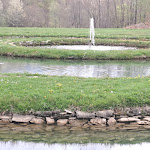 Photo n°3 de l'avis de Gatto. fait le 30/04/2023 à 15:33 sur le  Rifugio Peschiera Zamboni à Febbio