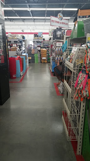 Home Improvement Store «Tractor Supply Co.», reviews and photos, 890 State Rte 415, Osteen, FL 32764, USA