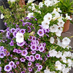 Photo n°2 de l'avis de Domenico.a fait le 13/09/2020 à 06:53 sur le  Sport Hotel Residence Stella Alpina à Peio