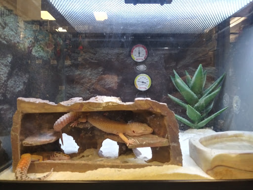 Pet Supply Store «Petco Animal Supplies», reviews and photos, 31419 Pacific Hwy S, Federal Way, WA 98003, USA