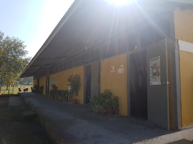 Escuela Carlos Donoso Rebolledo - Chépica