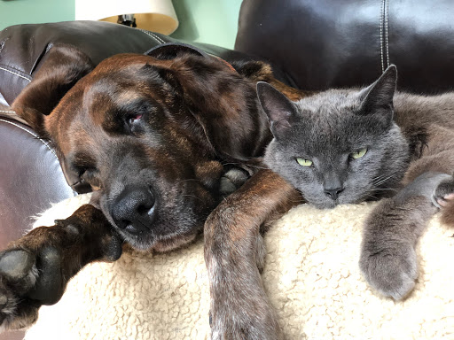 Pet Supply Store «Pet Barn Inc», reviews and photos, 167 Jennifer Rd # G, Annapolis, MD 21401, USA