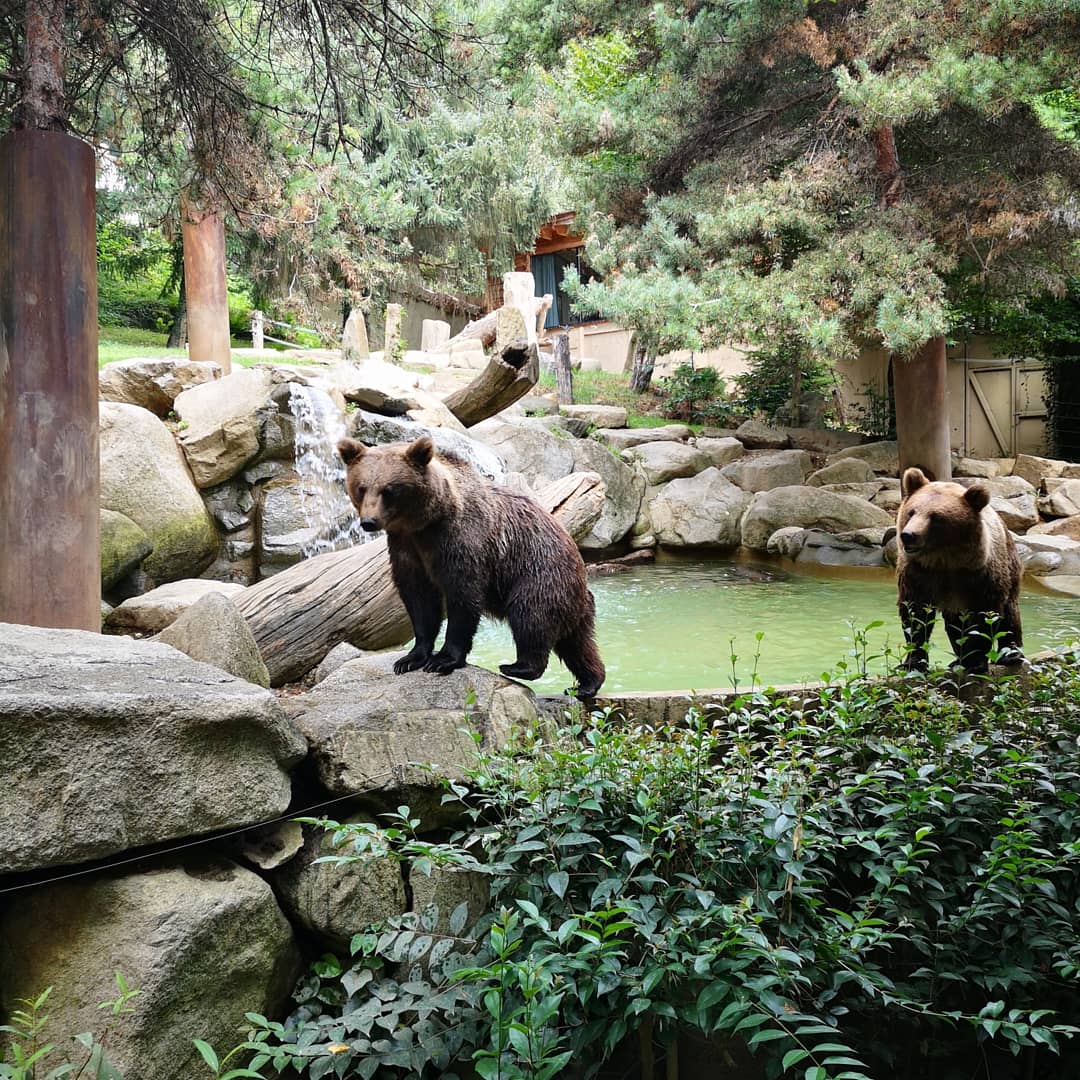 Photo n° 19 de l'avis de Xxx.x fait le 14/08/2020 à 21:01