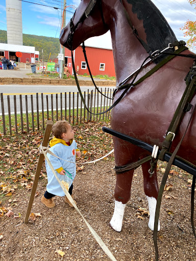 Day Care Center «Harrison Learning Center», reviews and photos, 620 Essex St # 3, Harrison, NJ 07029, USA