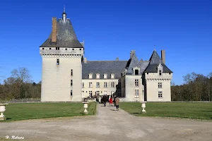 Castle Isle Savary image