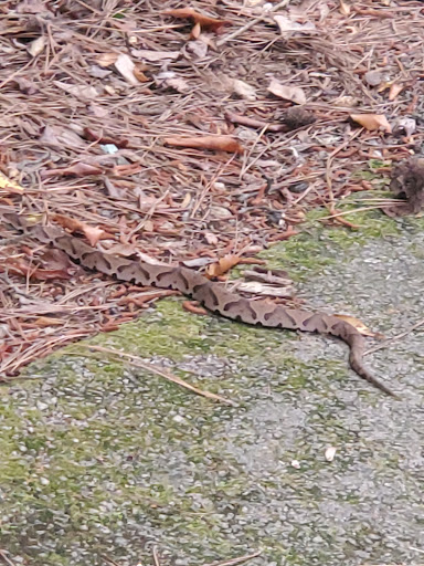 Park «Alexander Park», reviews and photos, 300 Atlanta St, McDonough, GA 30253, USA