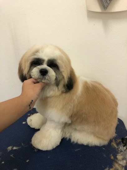 Paws in Love (Grooming House)