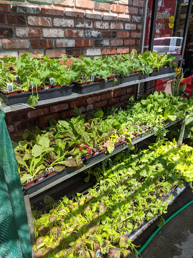 Hardware Store «Antioch Ace Hardware», reviews and photos, 501 Sunset Dr, Antioch, CA 94509, USA