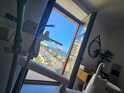 Anne Claire Perrot Minnot à Bastia