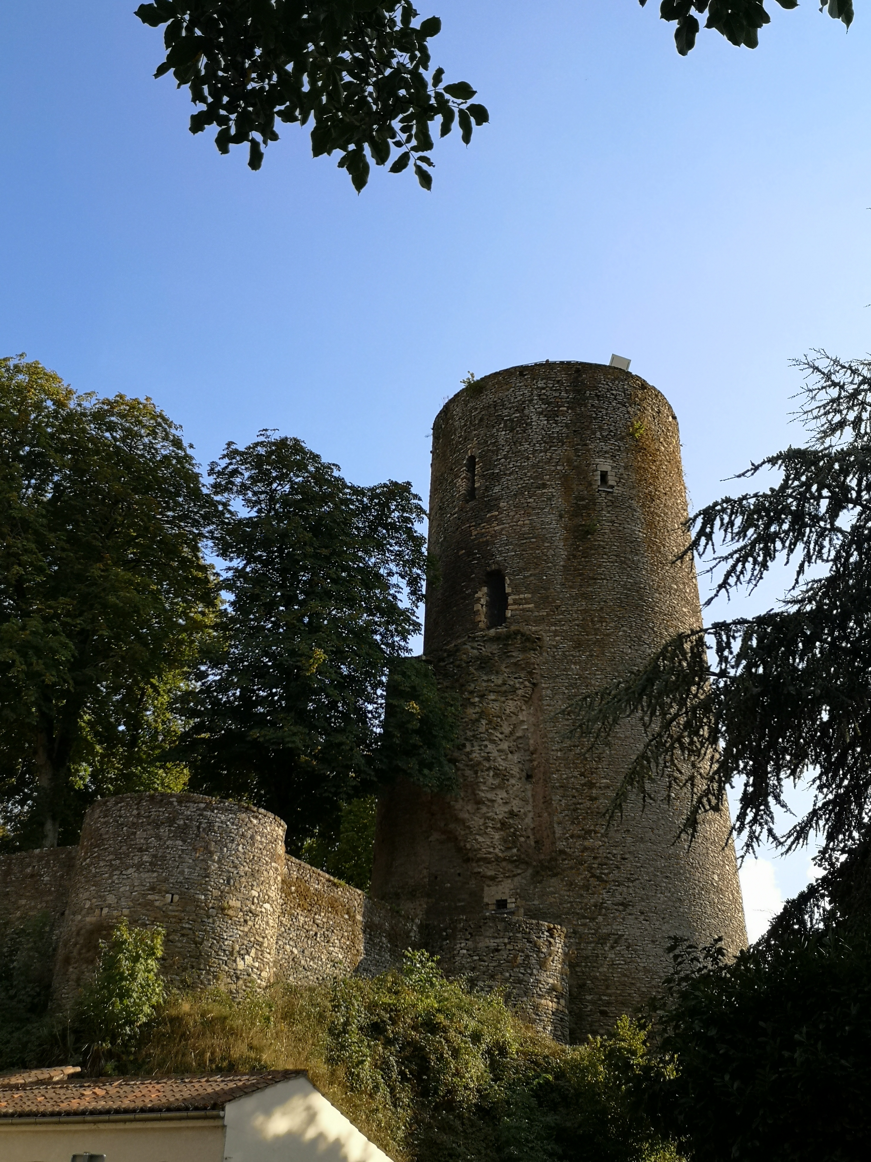 Photo n° 1 de l'avis de Michèle.u fait le 05/09/2021 à 17:13