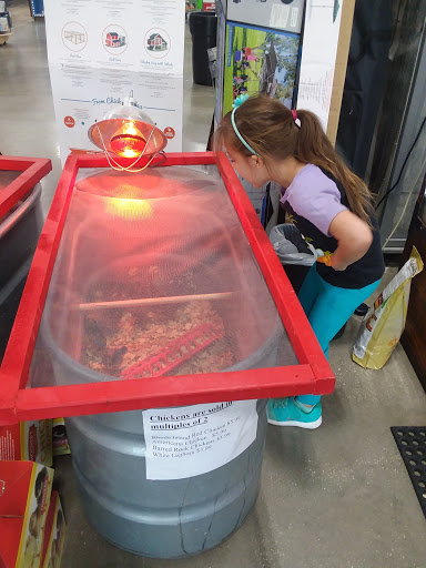 Hardware Store «Ace Hardware Garden St», reviews and photos, 3160 Garden St, Titusville, FL 32796, USA