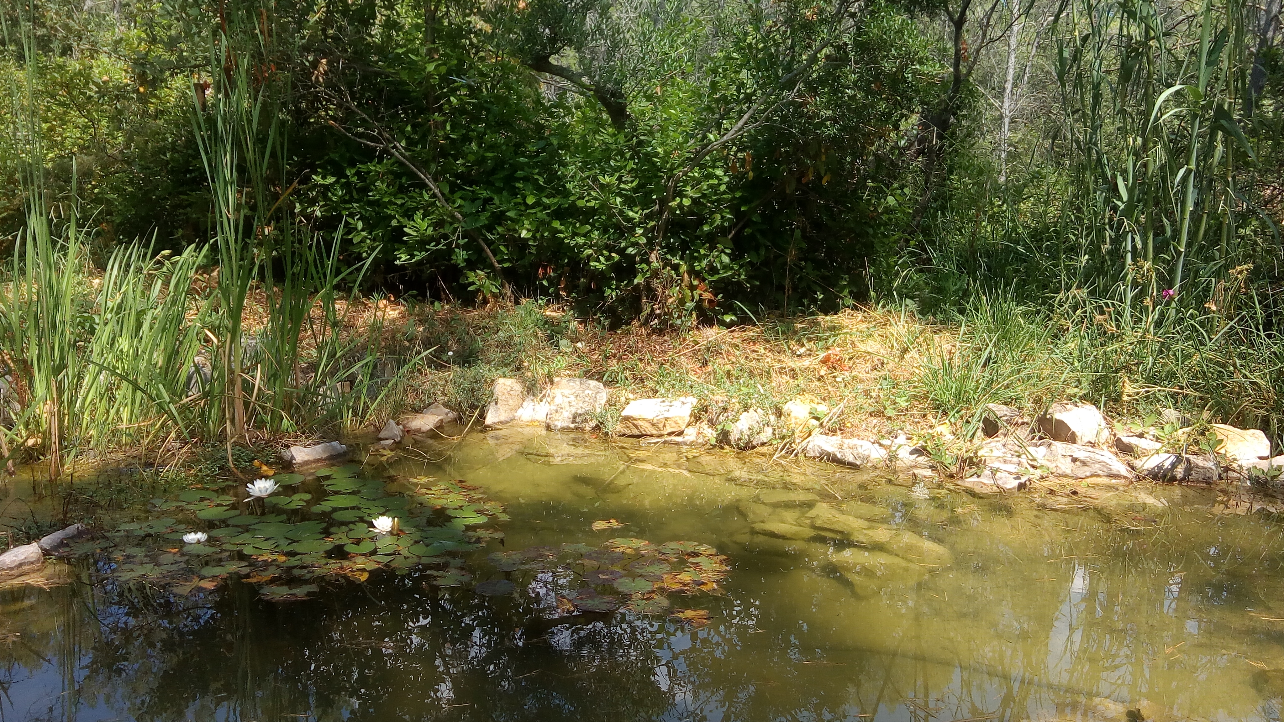 Photo n° 1 de l'avis de Mireille.o fait le 18/07/2018 à 16:50