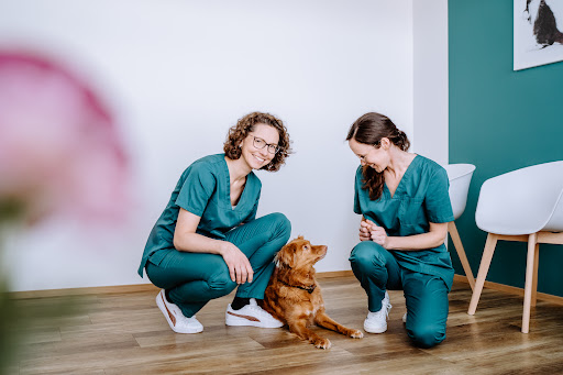 Kleintierpraxis Peißenberg - Dres. Schauer & Bruns unter Peißenberg, 