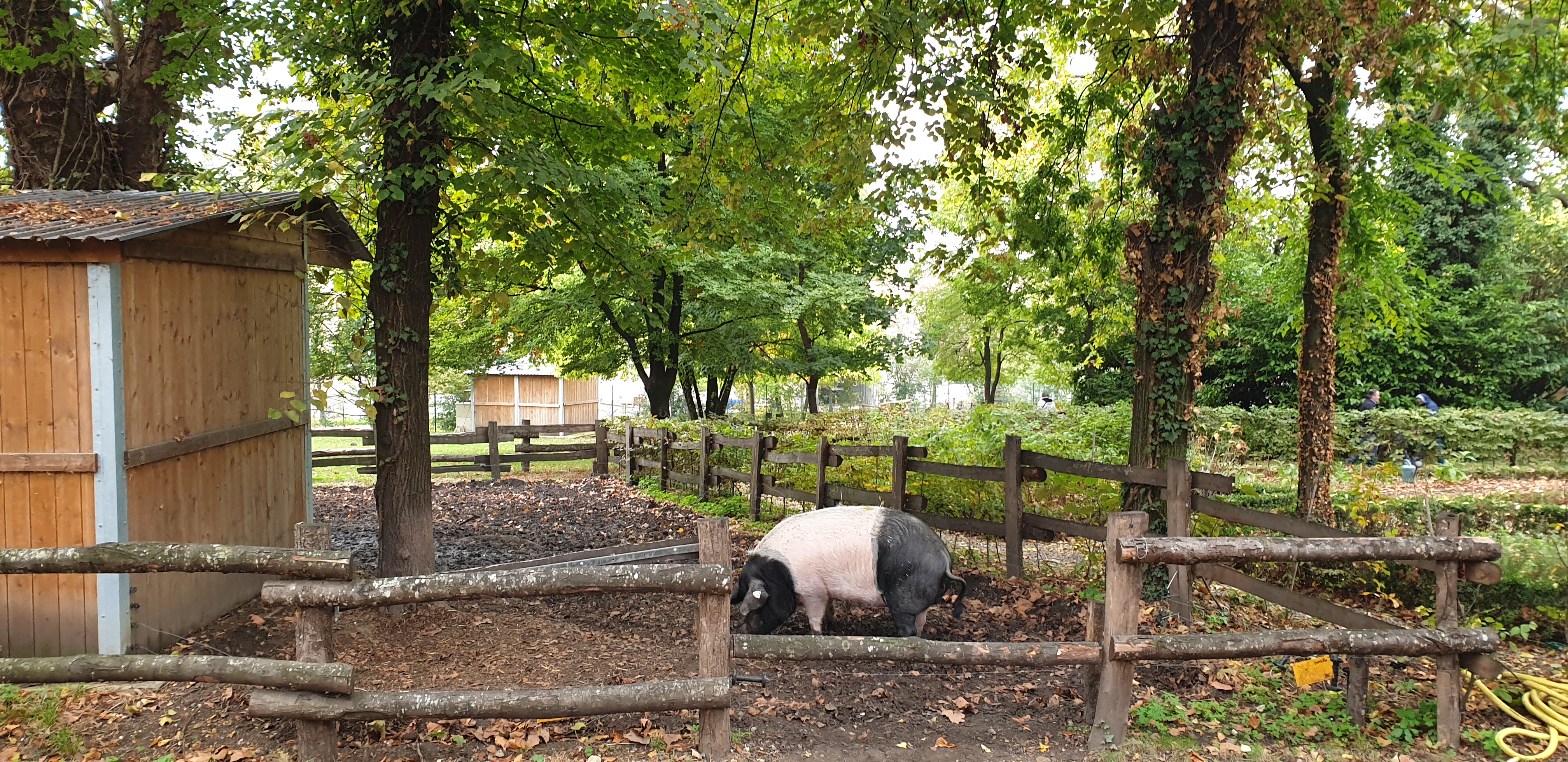 Photo n° 12 de l'avis de Julien.' fait le 23/10/2019 à 14:35