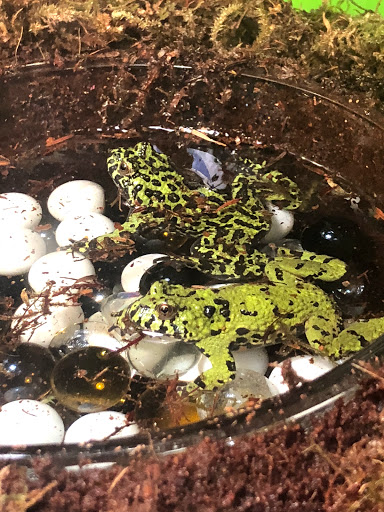 Pet Supply Store «Pets Plus», reviews and photos, 2286 Main St, Tewksbury, MA 01876, USA