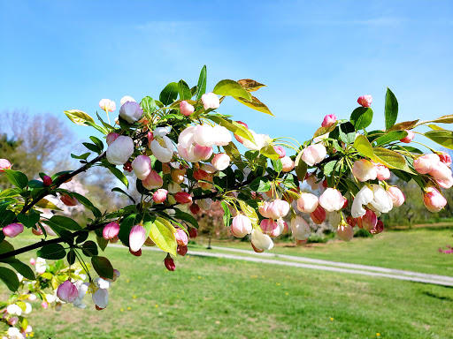 Park «Crocheron Park», reviews and photos, 214-41 34th Ave, Bayside, NY 11361, USA