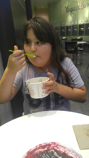 Frozen Yogurt Shop «Yogurtland», reviews and photos, 10500 Ulmerton Rd, Largo, FL 33771, USA