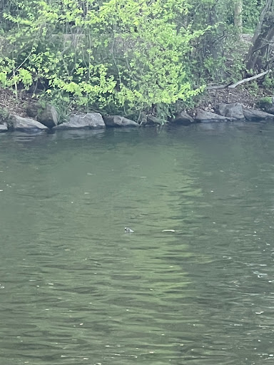 Golf Course «Van Cortlandt Park Golf Course», reviews and photos, 115 Van Cortlandt Park S, Bronx, NY 10471, USA