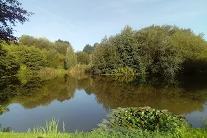Seighford Lakes image