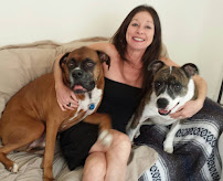 DogsGoWalking In Hollywood FL - Photo 1 - Car repair in Hollywood, FL, Hollywood