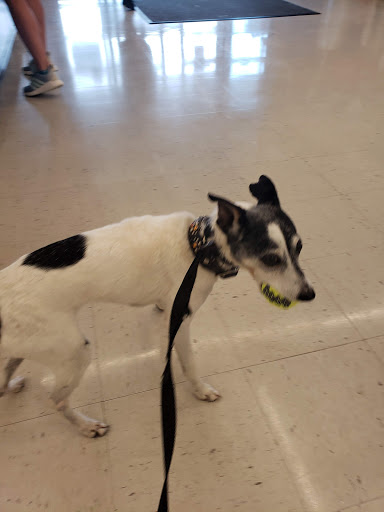 Pet Supply Store «PetSmart», reviews and photos, 7574 Voice of America Centre Dr, West Chester Township, OH 45069, USA