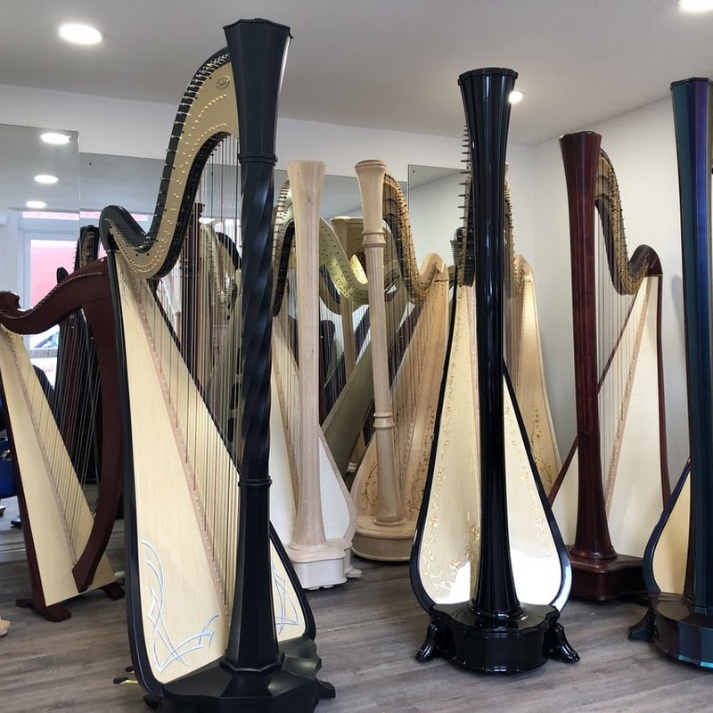 The Harp Studio South Wales