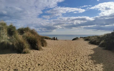 Camber Sands image