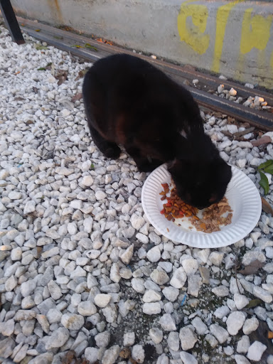 Supermarket «Walmart Neighborhood Market», reviews and photos, 12840 Beach Blvd, Stanton, CA 90680, USA