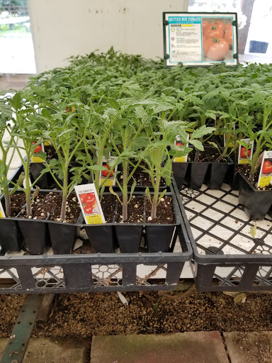 Florist «Lyndhurst Florist», reviews and photos, 5268 Mayfield Rd, Lyndhurst, OH 44124, USA