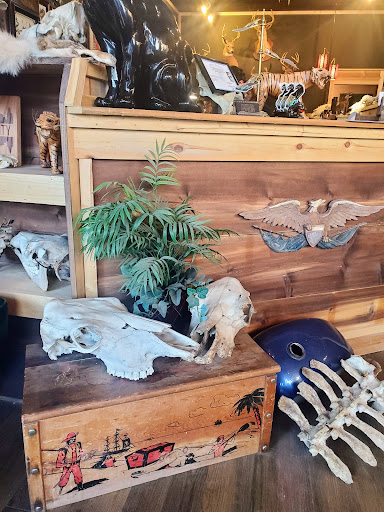 Explore tattoo name fonts ideas, creative tattoo ideas in Kansas City, available at Steel Panther Tattoo