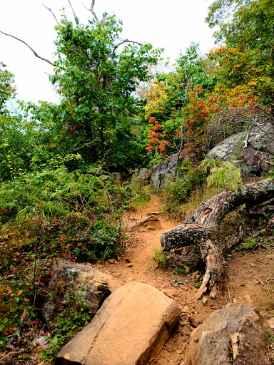 National Park «Kennesaw Mountain National Battlefield Park», reviews and photos, 900 Kennesaw Mountain Dr, Kennesaw, GA 30188, USA