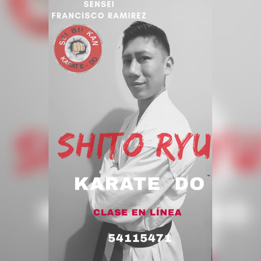 Seibukan Karate Do