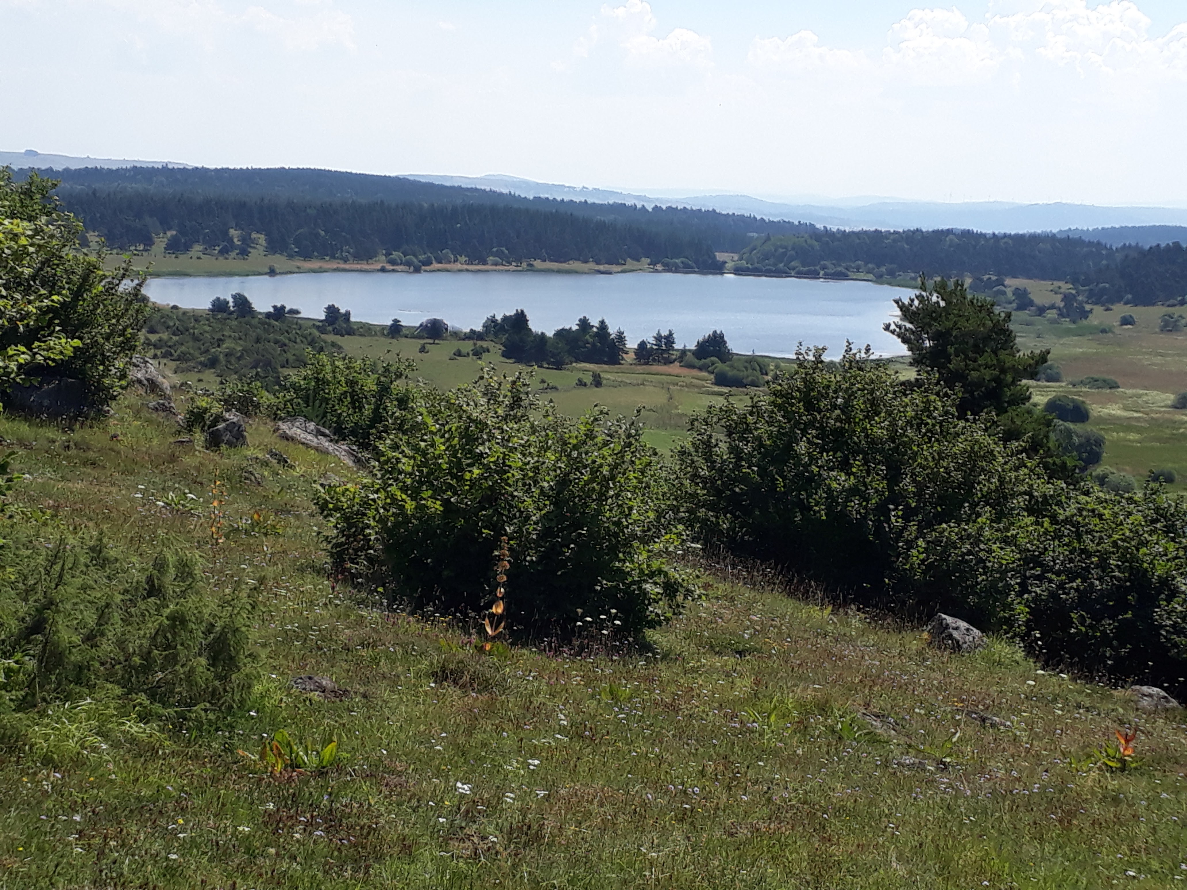 Photo n° 1 de l'avis de Fabienne.o fait le 27/07/2018 à 11:04
