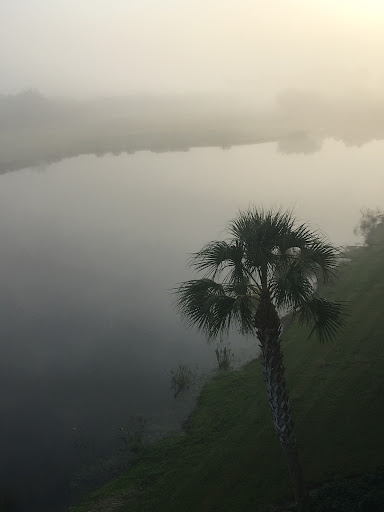 Golf Course «River Strand Golf & Country Club», reviews and photos, 7155 Grand Estuary Trail, Bradenton, FL 34212, USA