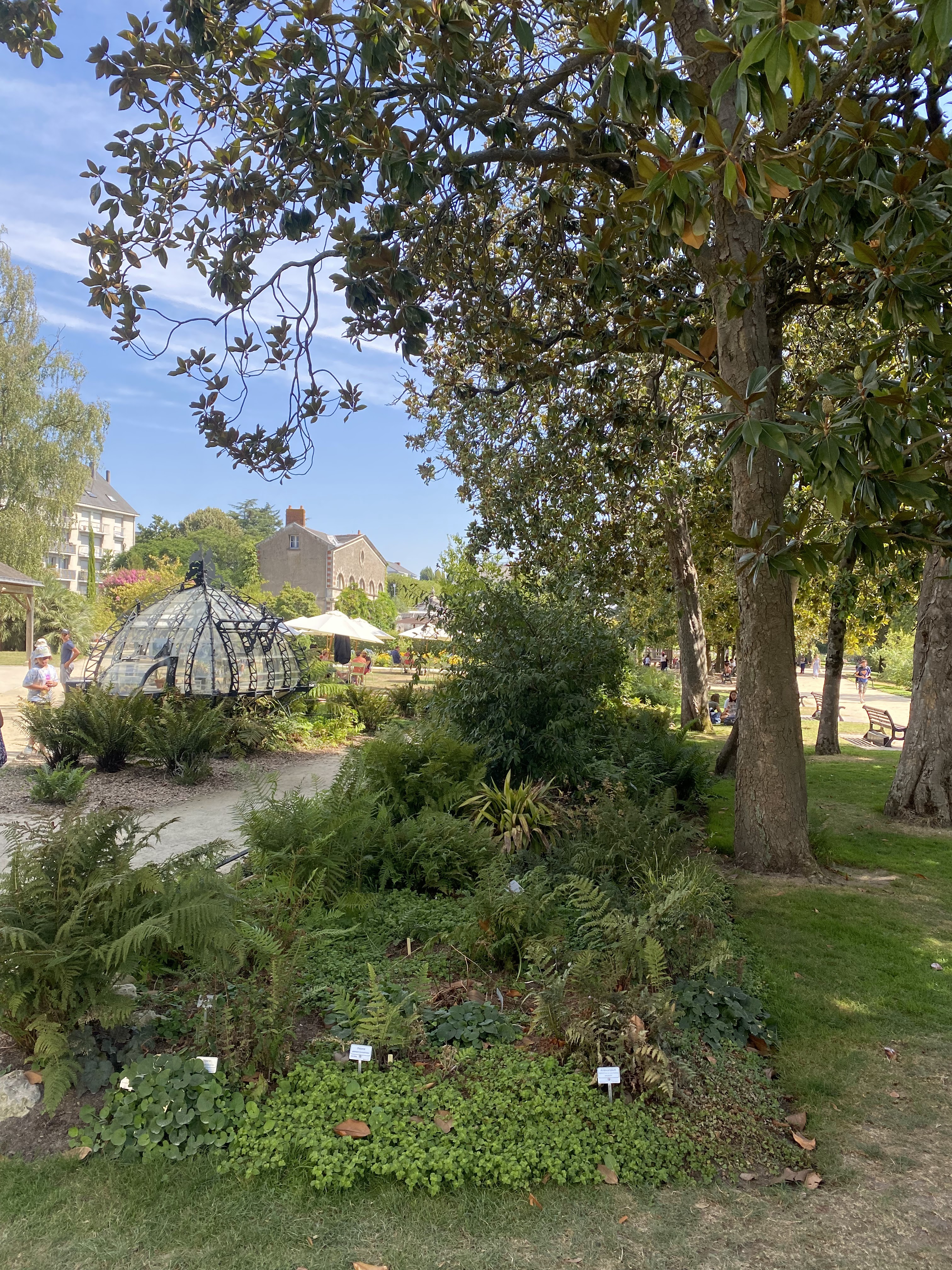 Photo n° 1 de l'avis de Maxence.o fait le 13/08/2022 à 15:23