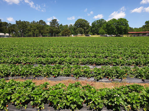 Waller Family Farm