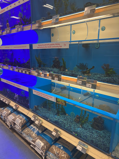 Pet Supply Store «PetSmart», reviews and photos, 1801 Howell Mill Rd NW, Atlanta, GA 30318, USA