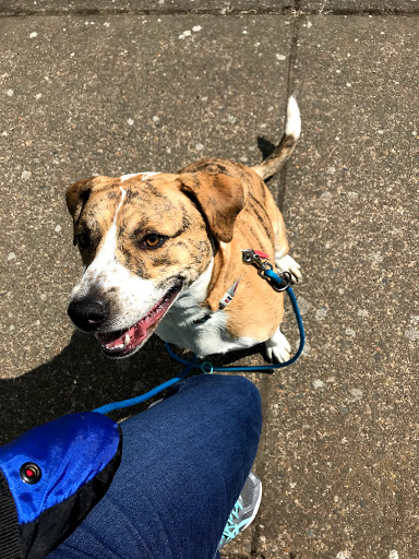 Non-Profit Organization «Heartland Humane Society», reviews and photos, 398 SW Twin Oaks Cir, Corvallis, OR 97333, USA