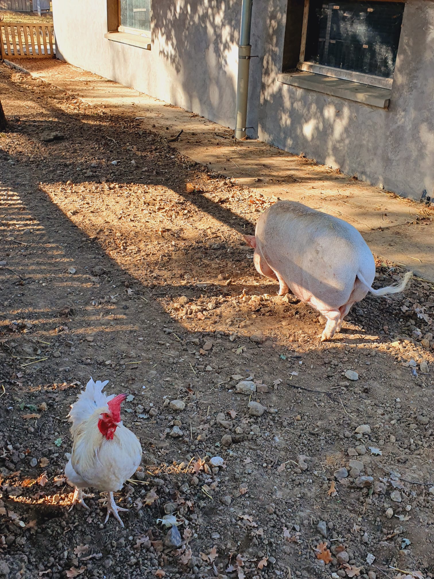 Photo n° 2 de l'avis de Arnaud.o fait le 17/09/2022 à 17:41