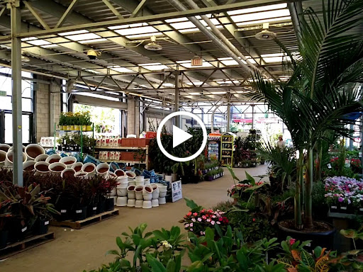 Home Improvement Store «The Home Depot», reviews and photos, 14549 Ramona Ave, Chino, CA 91710, USA