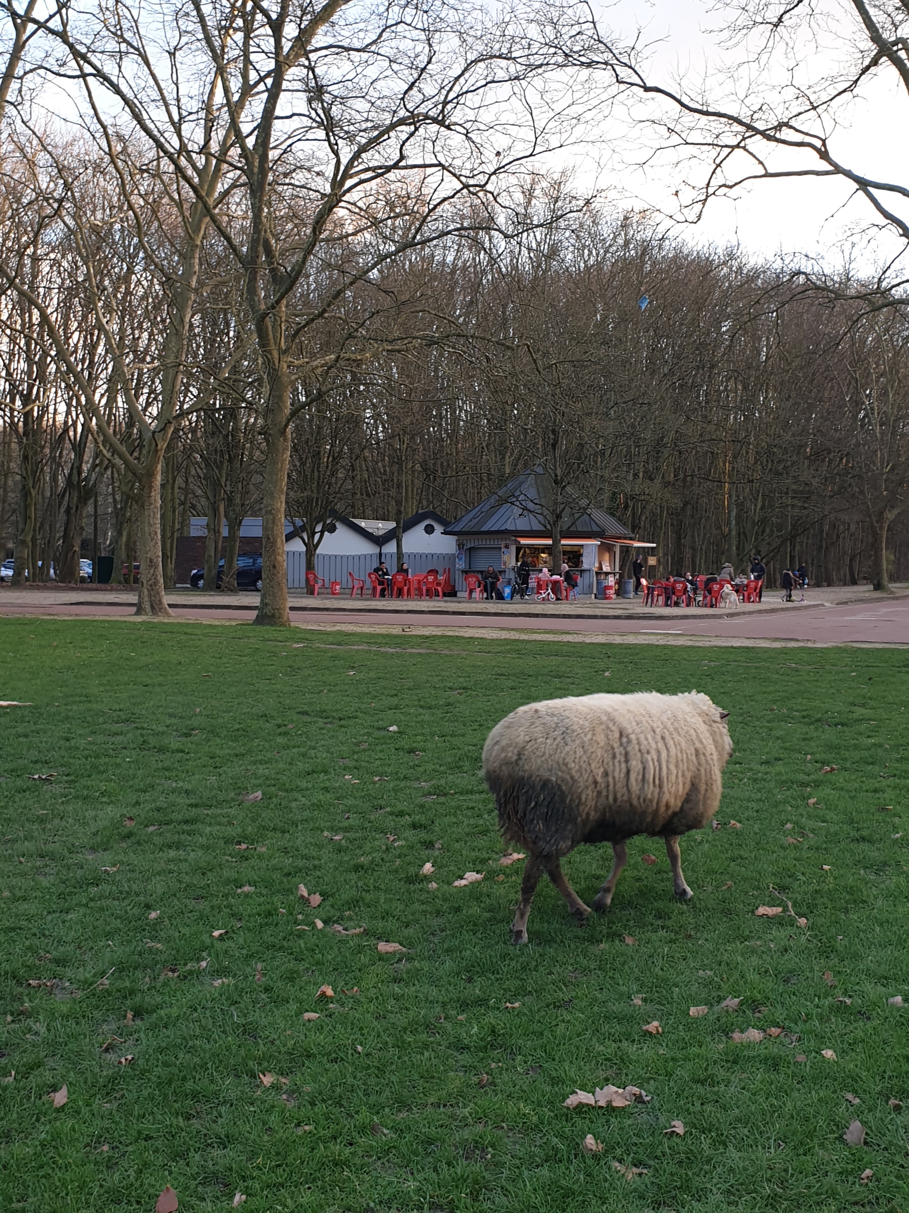 Photo n° 33 de l'avis de Maria.o fait le 01/01/2018 à 17:41
