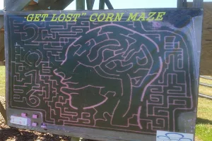 Get Lost Corn Maze. image