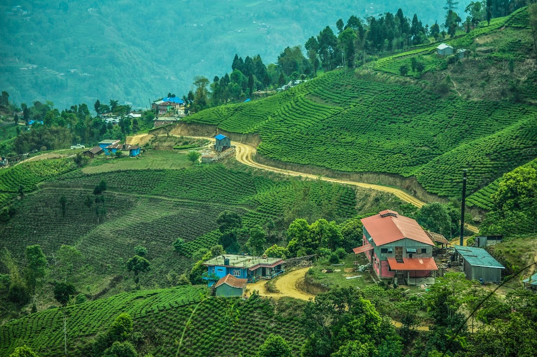 Ilam, Nepal