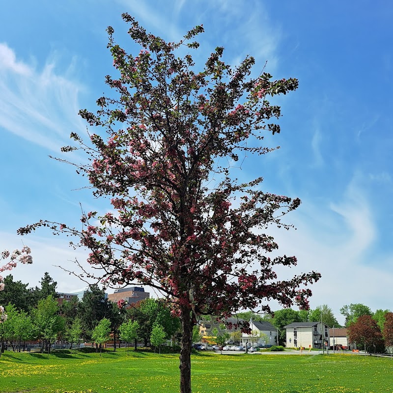 Parc Fontaine