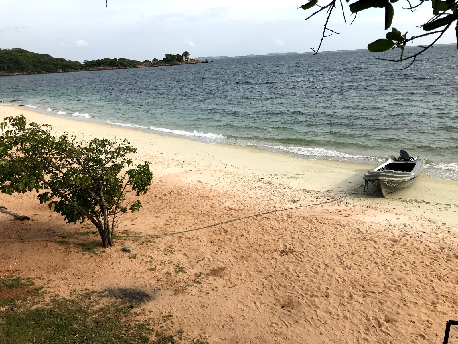Zdjęcie Elephant point beach otoczony górami