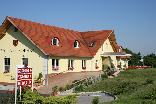 Taschner Borház - Sopron