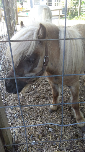 Farm «Pettit Creek Farms», reviews and photos, 337 Cassville Rd, Cartersville, GA 30120, USA