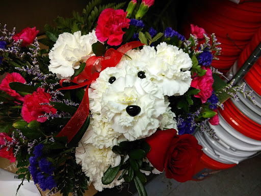 Florist «Enchanted Florist», reviews and photos, 1956 US-1, St Augustine, FL 32084, USA