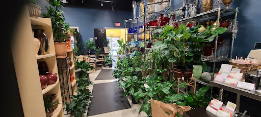 Florist «The Flower Shoppe Greenfingers Inc.», reviews and photos, 8654 Central Ave NE, Blaine, MN 55434, USA